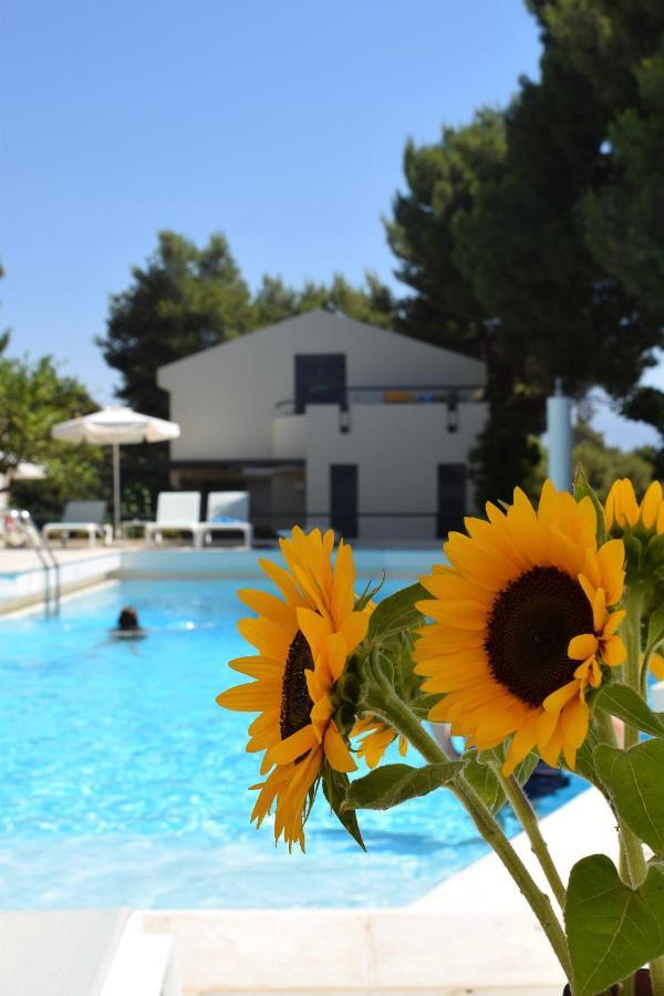 Villa Pefki خانيا المظهر الخارجي الصورة